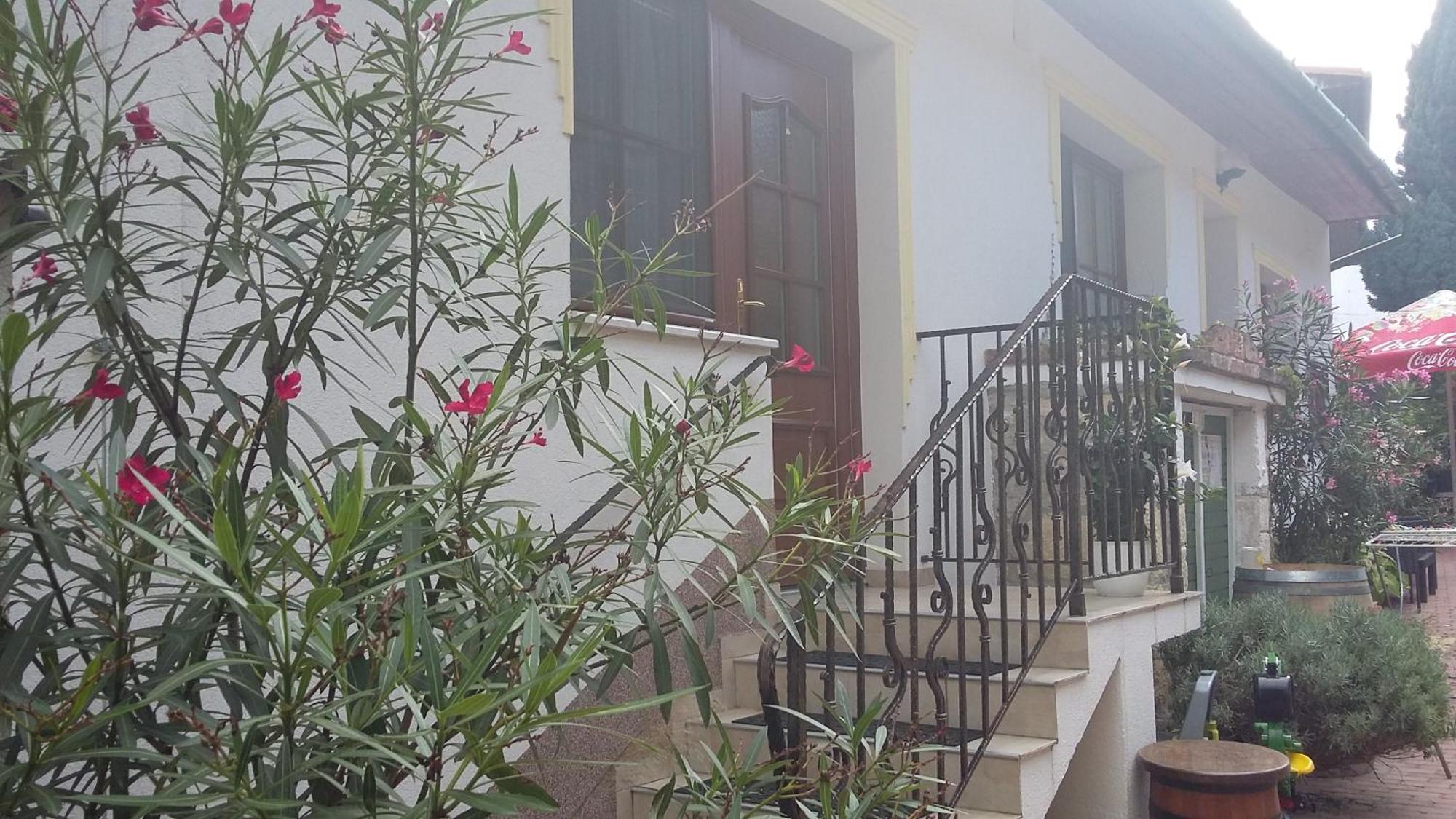 Laubgassl Apartment Mörbisch am See Екстериор снимка